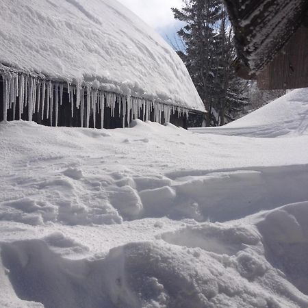 Chalet Tisa Velika Planina Stahovica Esterno foto
