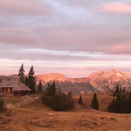 Chalet Tisa Velika Planina Stahovica Esterno foto