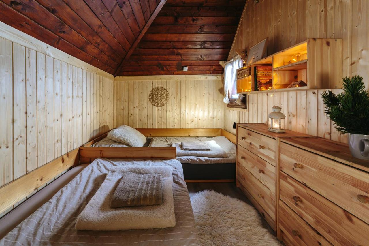 Chalet Tisa Velika Planina Stahovica Esterno foto