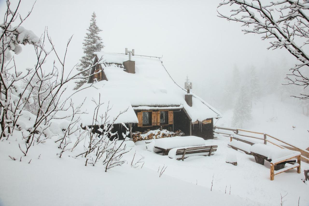 Chalet Tisa Velika Planina Stahovica Esterno foto