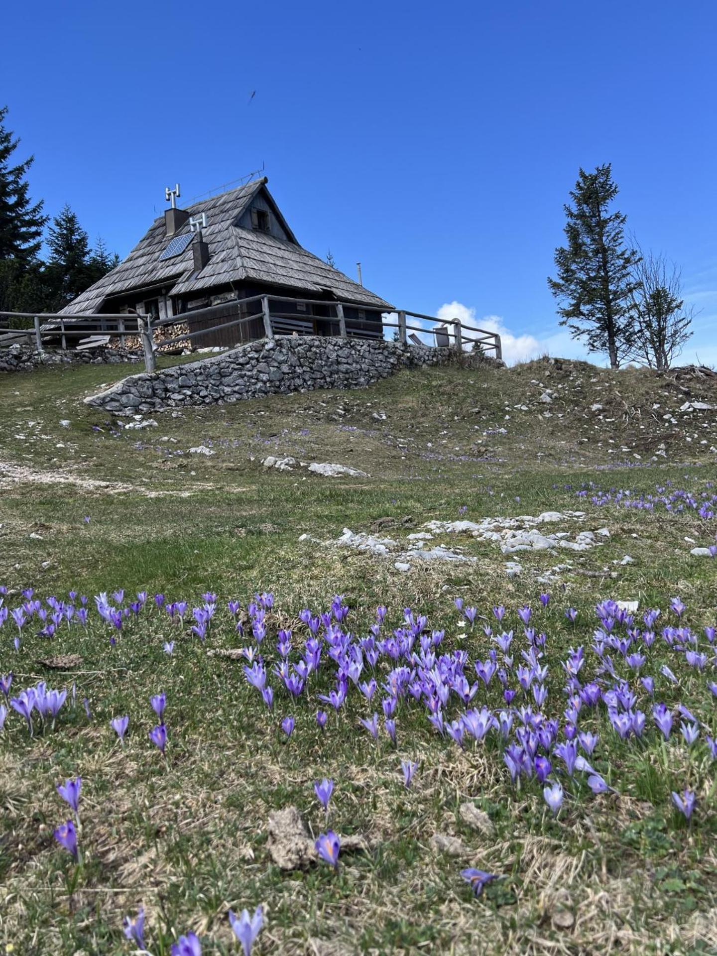 Chalet Tisa Velika Planina Stahovica Esterno foto