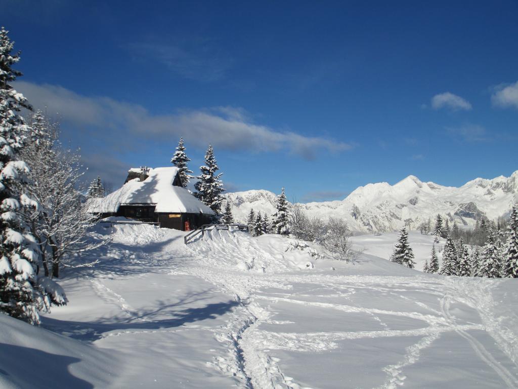 Chalet Tisa Velika Planina Stahovica Camera foto