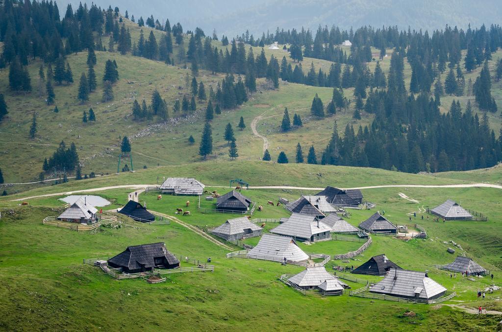Chalet Tisa Velika Planina Stahovica Camera foto