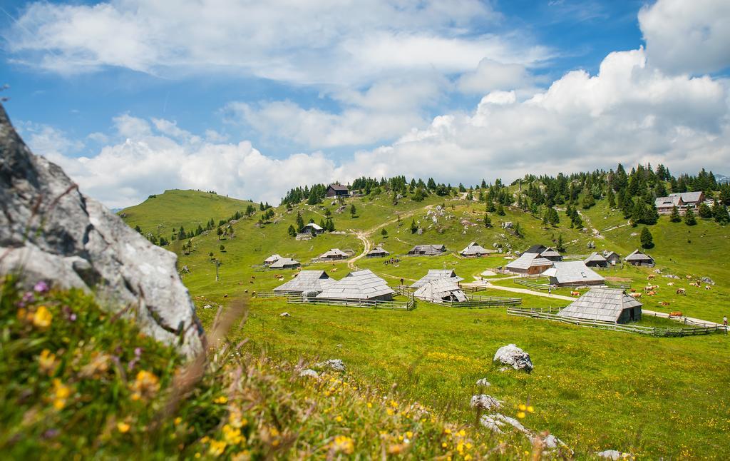 Chalet Tisa Velika Planina Stahovica Camera foto