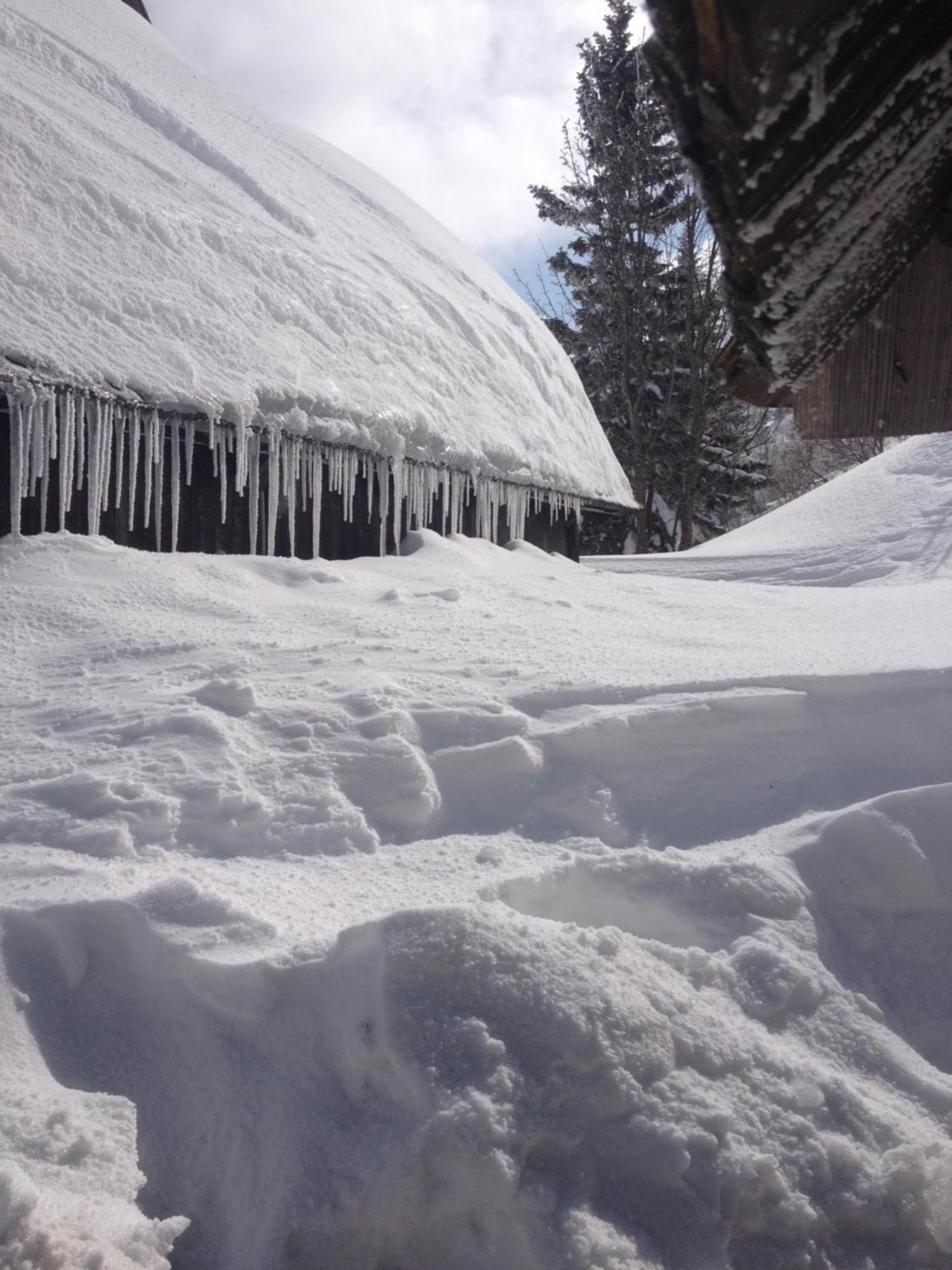 Chalet Tisa Velika Planina Stahovica Esterno foto