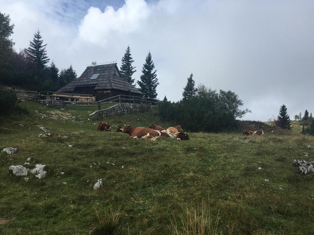 Chalet Tisa Velika Planina Stahovica Esterno foto