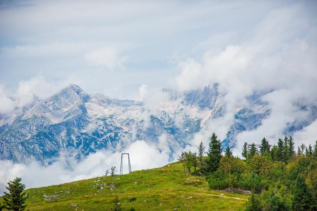 Chalet Tisa Velika Planina Stahovica Esterno foto