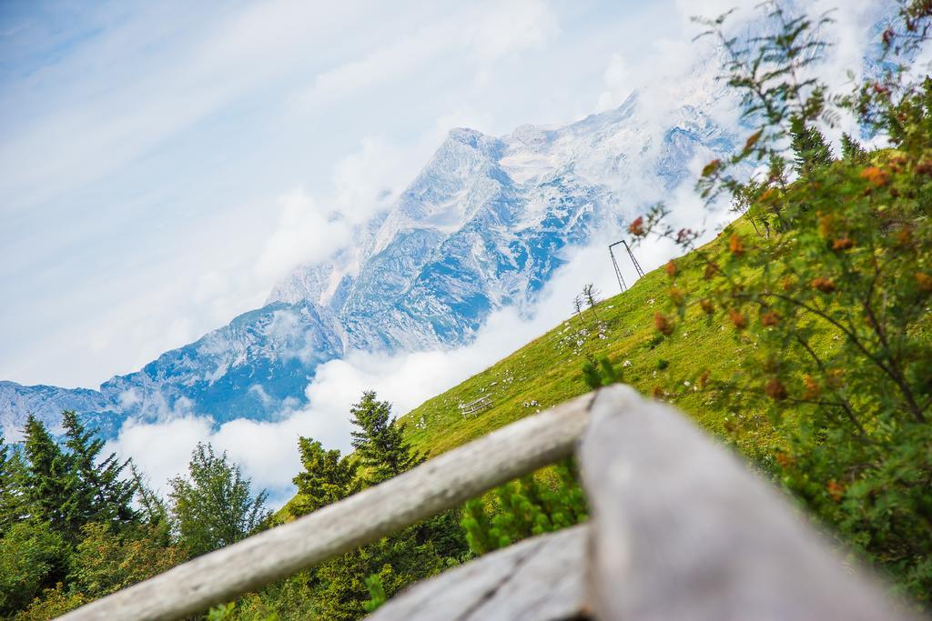 Chalet Tisa Velika Planina Stahovica Esterno foto
