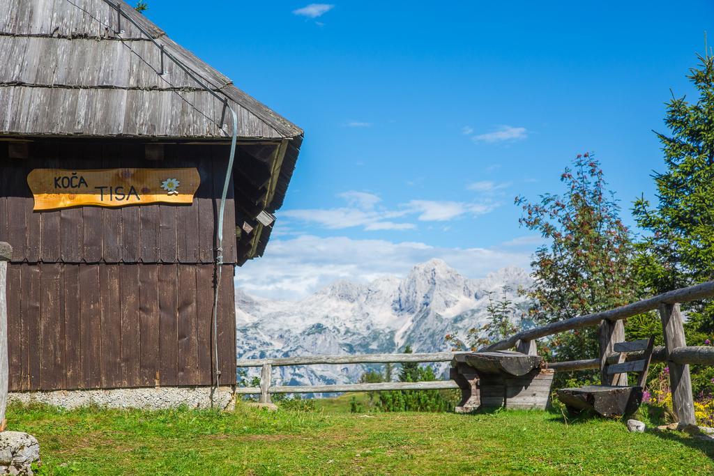 Chalet Tisa Velika Planina Stahovica Esterno foto
