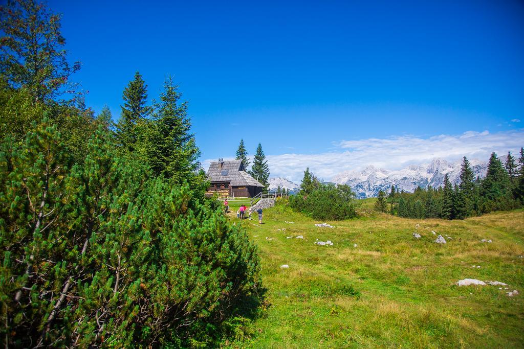 Chalet Tisa Velika Planina Stahovica Esterno foto