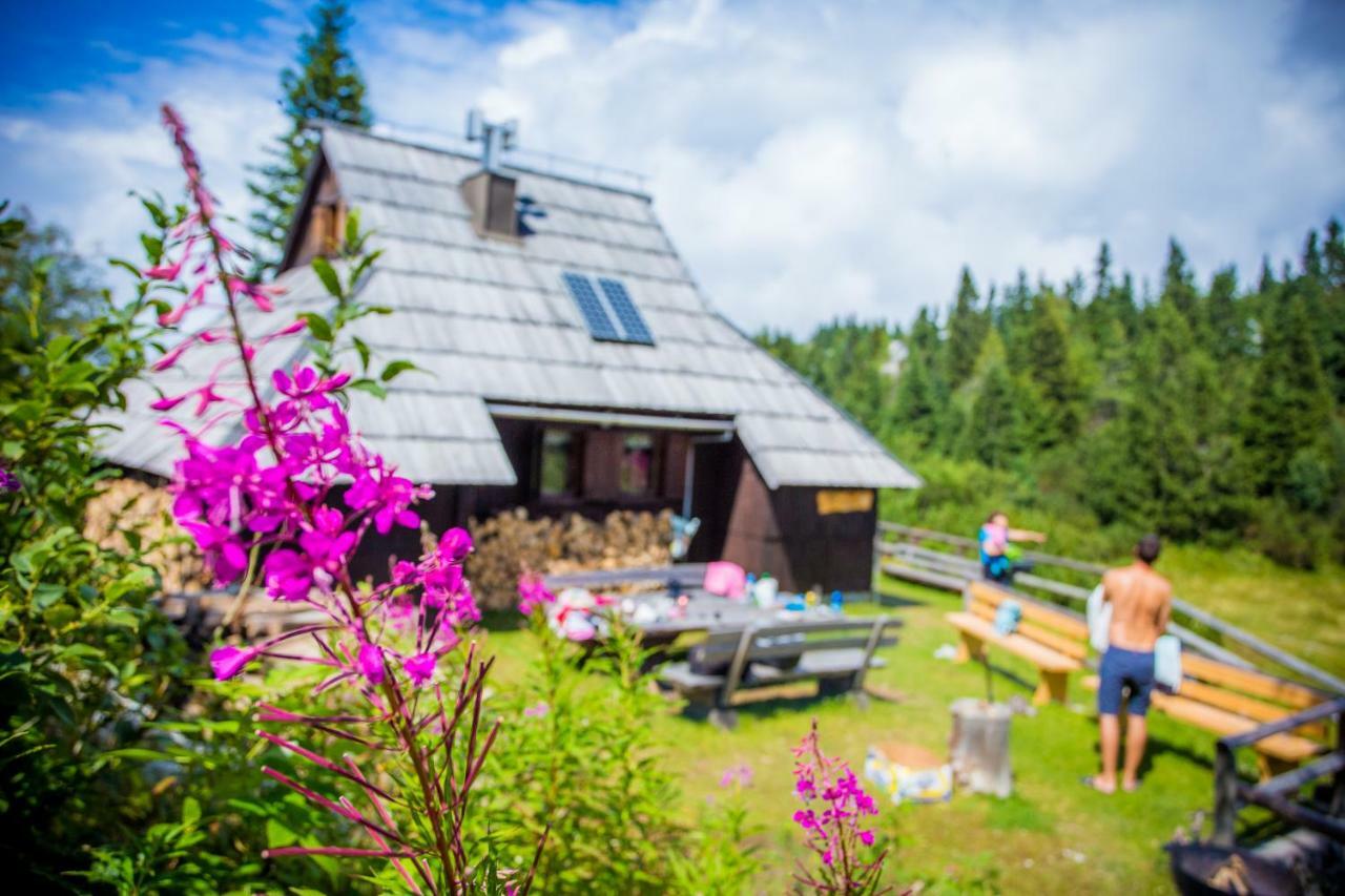 Chalet Tisa Velika Planina Stahovica Esterno foto