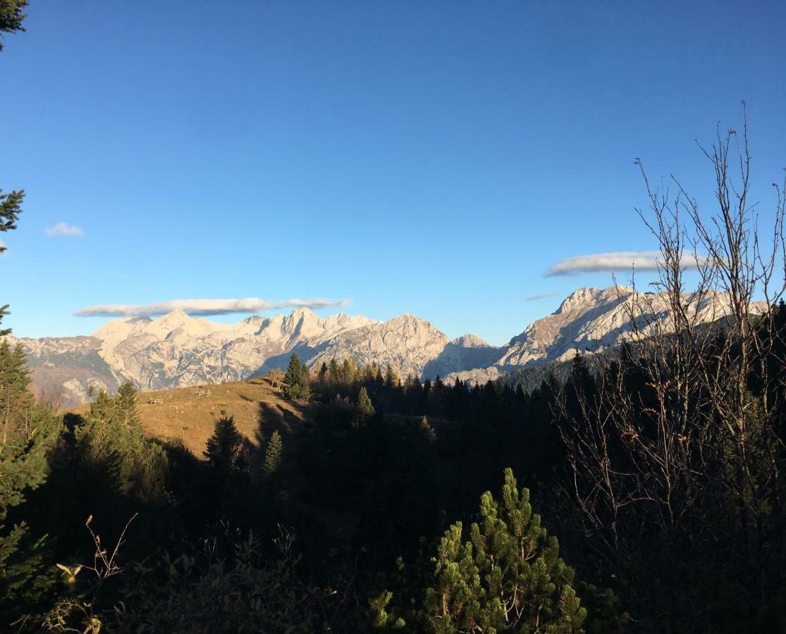 Chalet Tisa Velika Planina Stahovica Esterno foto